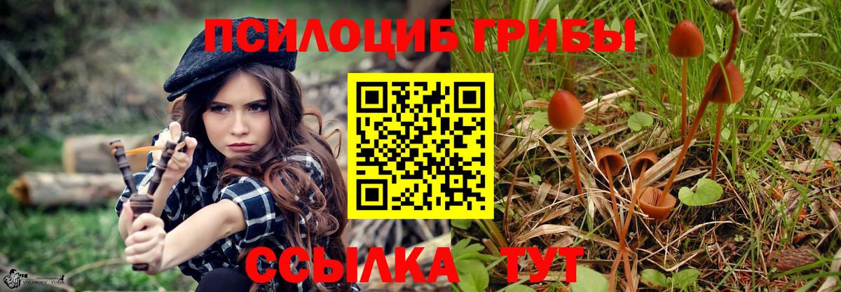 Галлюциногенные грибы Magic Shrooms Кинель