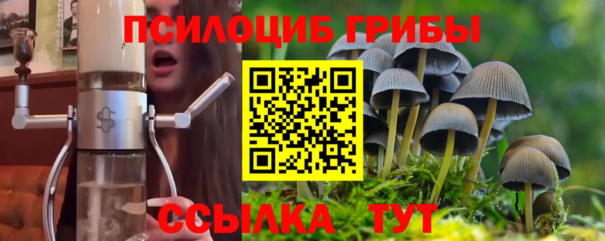 Галлюциногенные грибы ЛСД  Вход с VPN  Кинель 